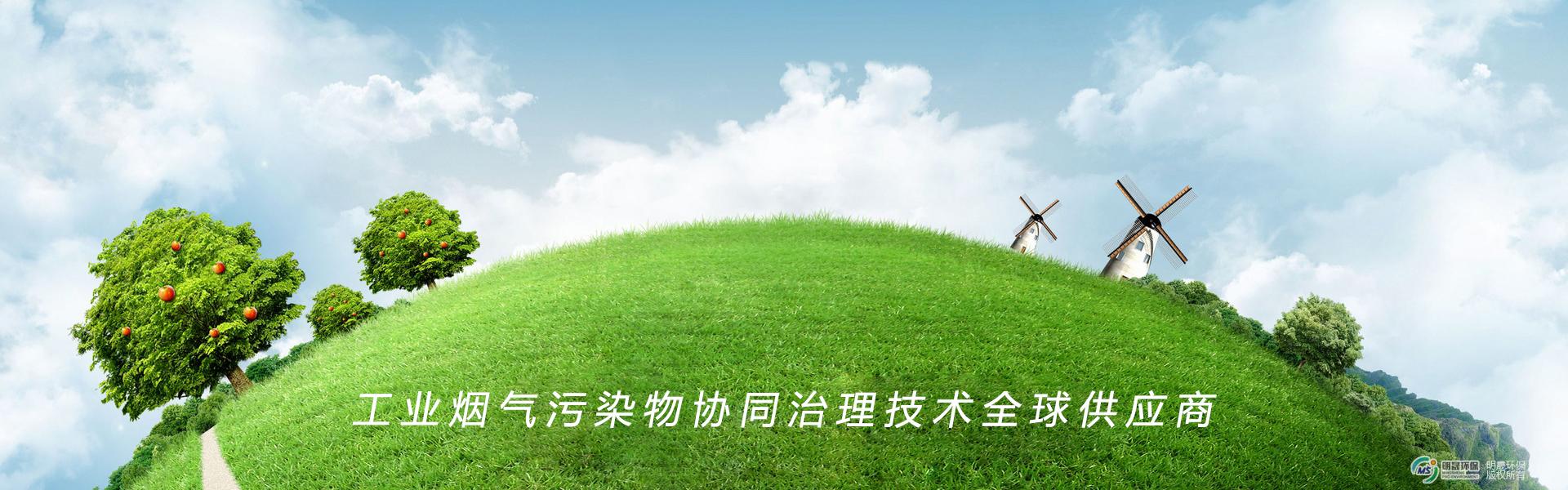 企業(yè)優(yōu)勢
